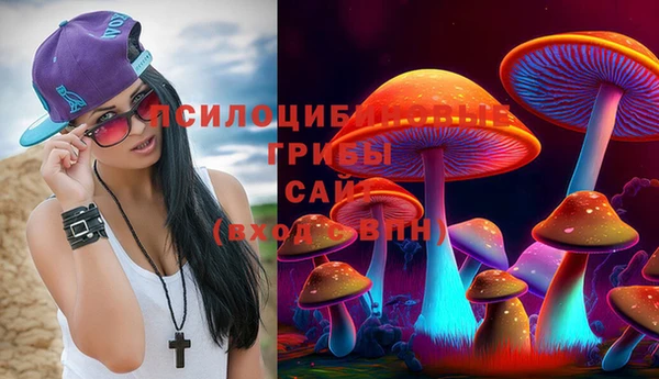 мяу мяу кристалл Вяземский